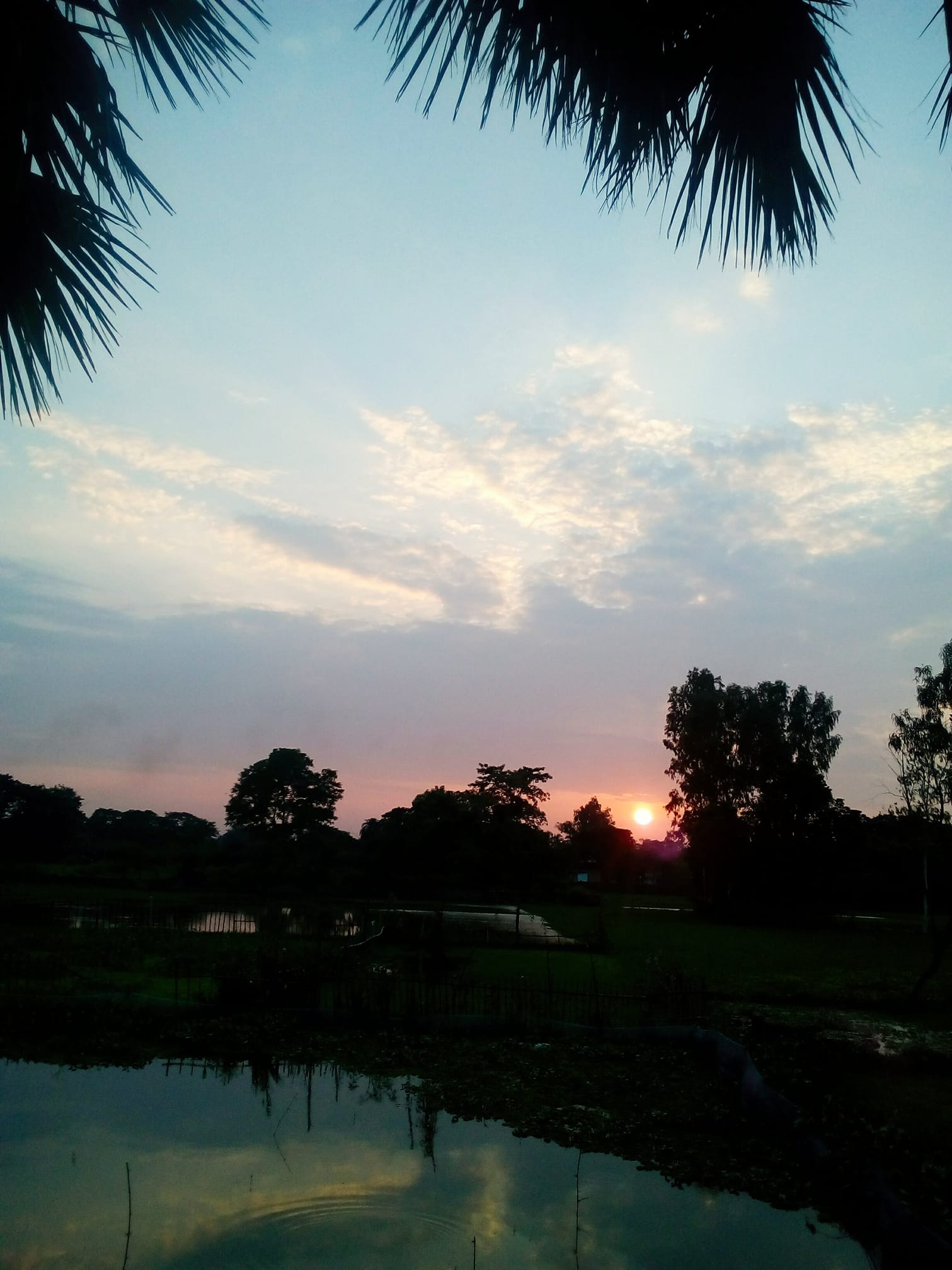 Picture of evening