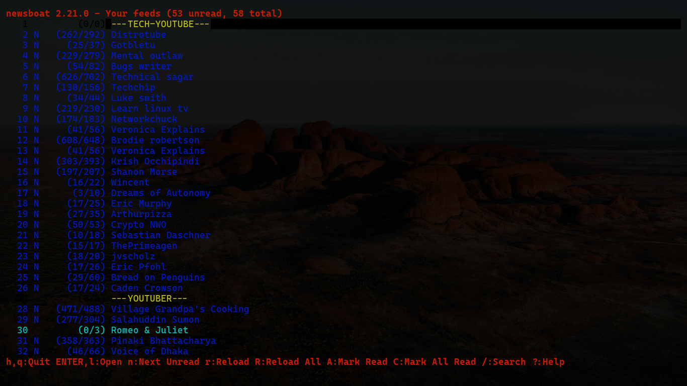 Newsboat demo picture